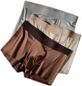 Satin Silk Boxer Briefs