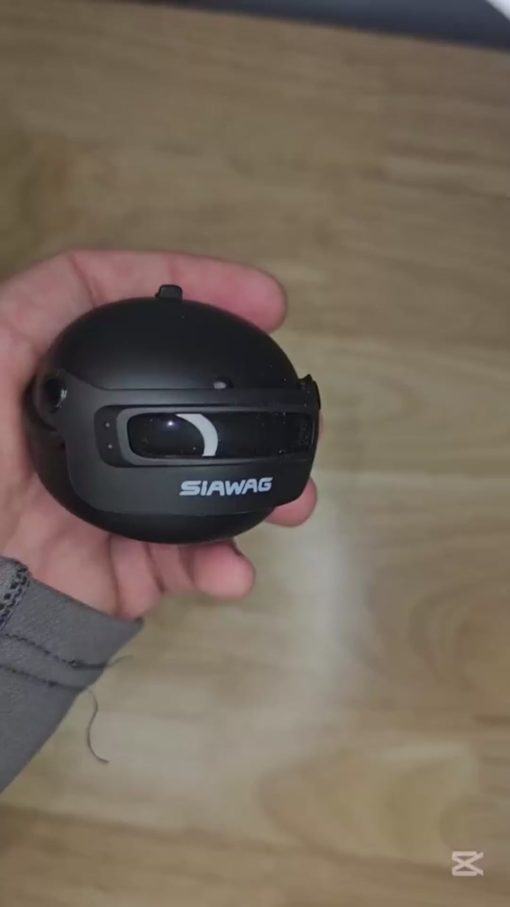 Wireless Earbuds (Model : A19)